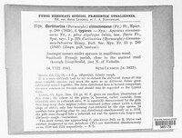 Cortinarius cinnamomeus image